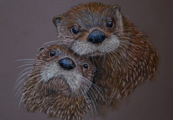 Otters